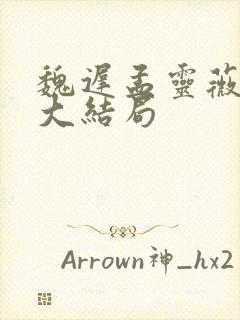 魏迟孟灵薇沈梨大结局