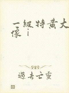 一级特黄大片录像ⅰ