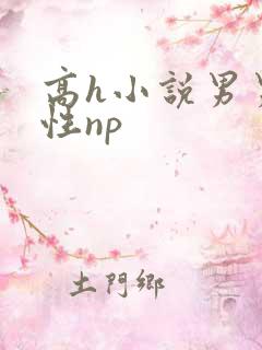 高h小说男男双性np