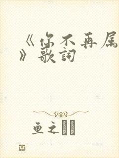 《你不再属于我》歌词