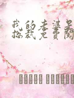 我的老婆是冰山总裁免费阅读