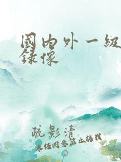 国内外一级黄色录像