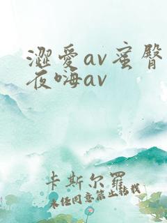 涩爱av蜜臀夜夜嗨av