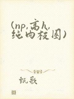 (np,高h,纯肉校园)