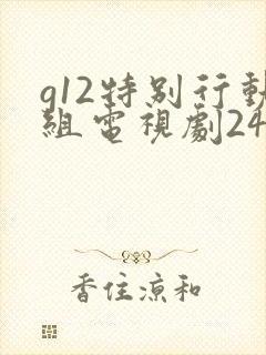 g12特别行动组电视剧24集免费观看