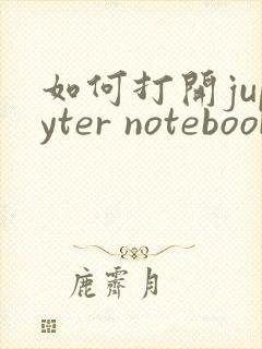 如何打开jupyter notebook