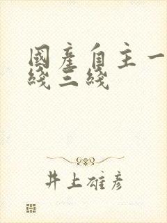 国产自主一线二线三线