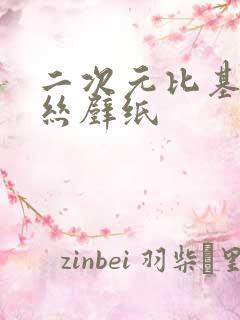 二次元比基尼白丝壁纸