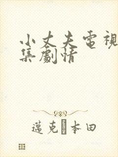 小丈夫电视剧分集剧情