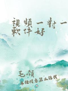 视频一对一聊天软件好