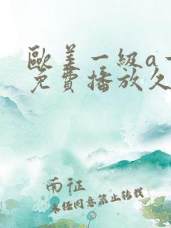 欧美一级a一片免费播放久久