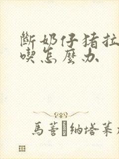 断奶仔猪拉稀不吃怎么办