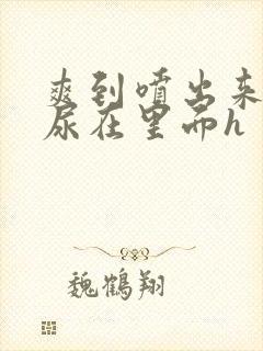 爽到喷出来失禁尿在里面h