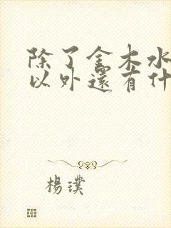 除了金木水火土以外还有什么属性