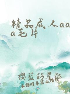 精品成人aaaa毛片