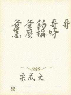 爸爸的哥哥应该怎么称呼