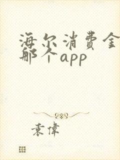 海尔消费金融是那个app