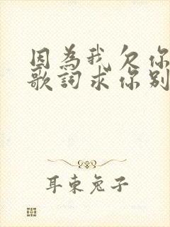 因为我欠你太多歌词求你别离开我