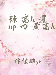 辣 高h 浓 np 肉 黄高h