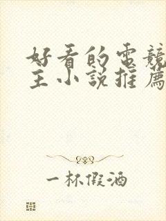 好看的电竞双男主小说推荐