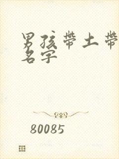 男孩带土带金的名字