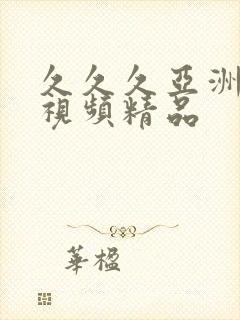 久久久亚洲综合视频精品