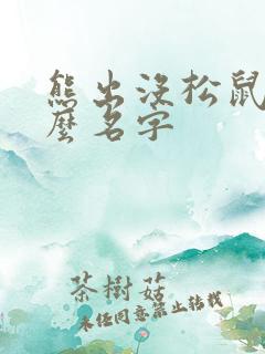 熊出没松鼠叫什么名字