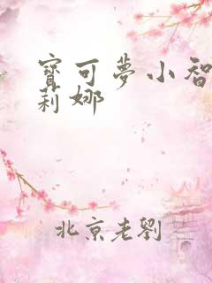 宝可梦小智与莎莉娜