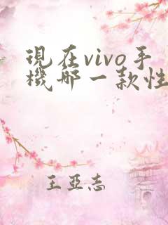 现在vivo手机哪一款性价比高