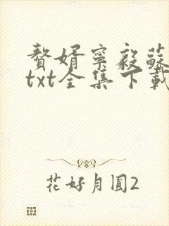 赘婿宁毅苏檀儿txt全集下载