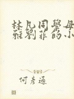 林凡同学母亲赵雅刘菲的小说