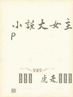 小说大女主无cp