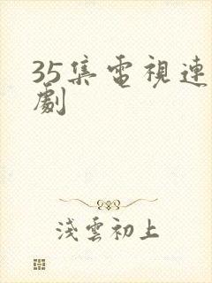 35集电视连续剧