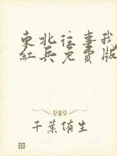 东北往事我叫赵红兵免费版观看