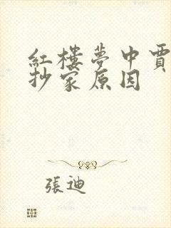 红楼梦中贾府被抄家原因