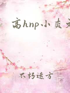 高hnp小爽文