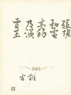 贾乃亮和张钧甯主演的电视剧是什么