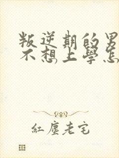 叛逆期的男孩子不想上学怎么办