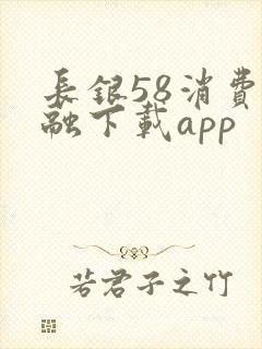 长银58消费金融下载app