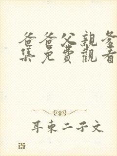 爸爸父亲爹36集免费观看