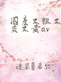 国产又粗又猛又爽又黄av