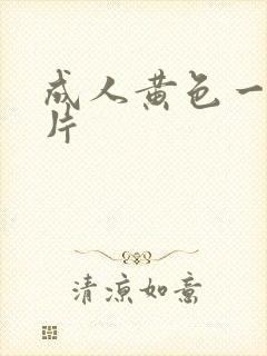 成人黄色一级大片