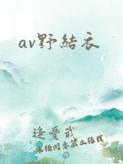 av野结衣