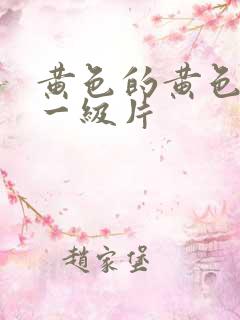 黄色的黄色录像一级片