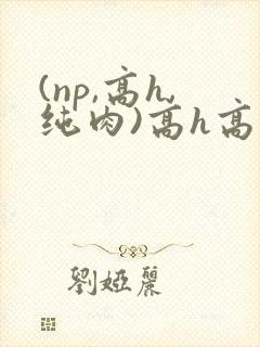 (np,高h,纯肉)高h高辣小说