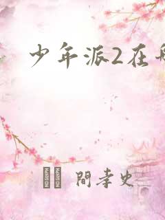 少年派2在哪看