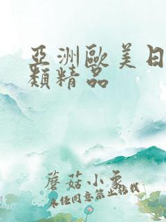 亚洲欧美日韩另类精品