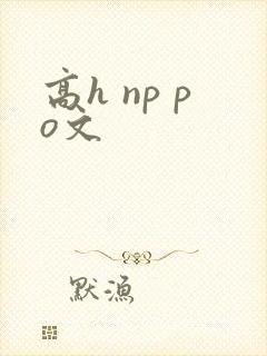 高h np po文