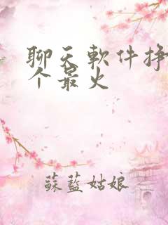 聊天软件挣钱哪个最火