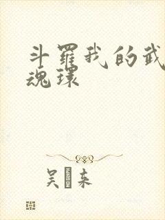 斗罗我的武魂是魂环